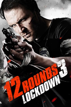 donde ver 12 rounds 3: lockdown