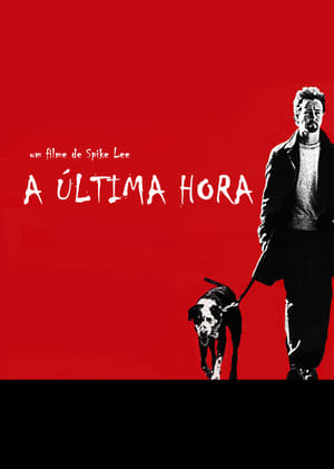 donde ver la última noche (25th hour)