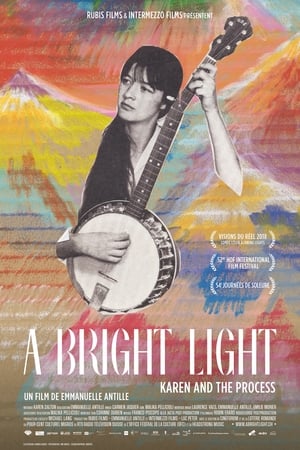 donde ver a bright light: karen and the process