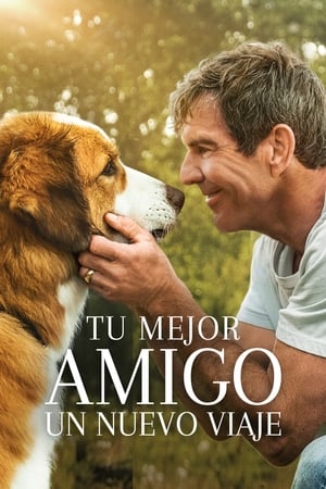 donde ver tu mejor amigo: un nuevo viaje