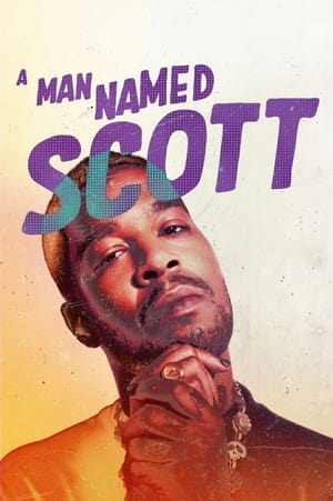 donde ver a man named scott