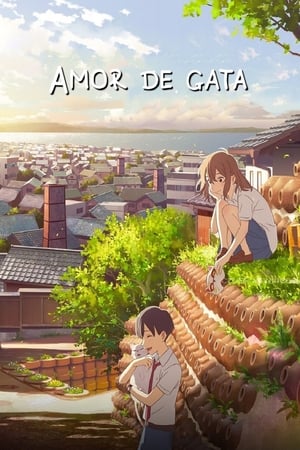 donde ver amor de gata