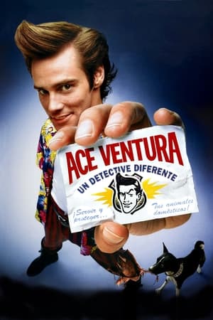 donde ver ace ventura: pet detective