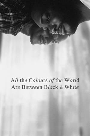 donde ver all the colours of the world are between black and white