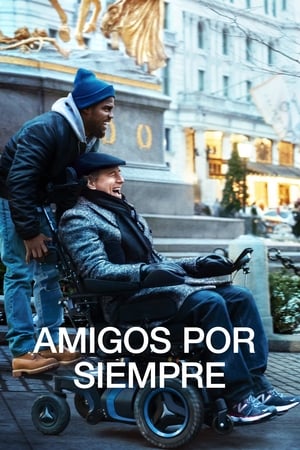 donde ver amigos por siempre