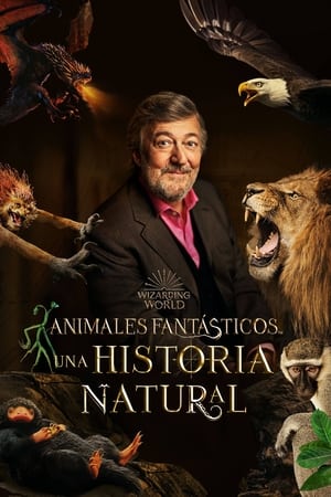 donde ver animales fantásticos: una historia natural