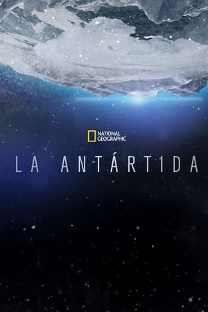 donde ver antártida: el continente blanco