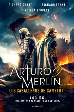 donde ver arturo y merlin: los caballeros de camelot