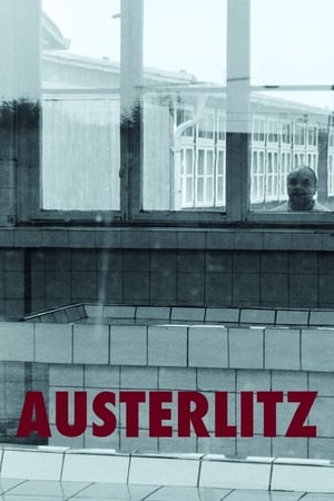 donde ver austerlitz