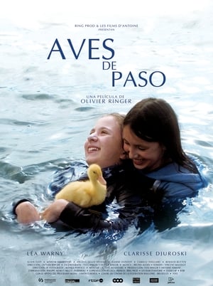 donde ver aves de paso (2015)