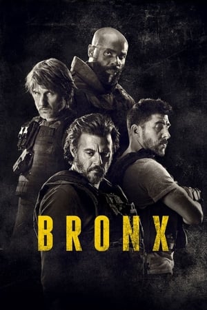 donde ver bronx