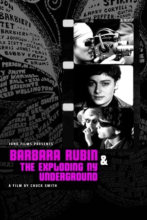 donde ver barbara rubin and the exploding ny underground