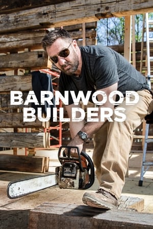 donde ver barnwood builders