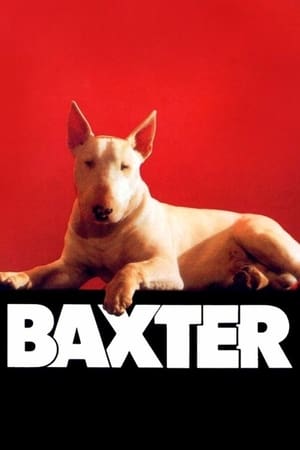 donde ver baxter