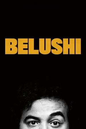 donde ver belushi