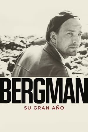 donde ver bergman, su gran año