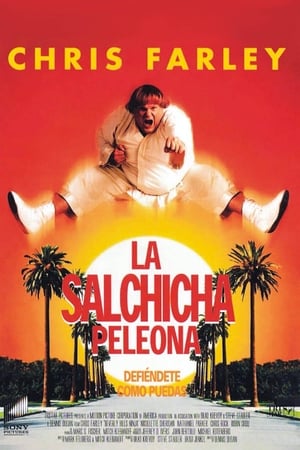 donde ver beverly hills ninja