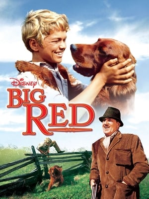 donde ver big red