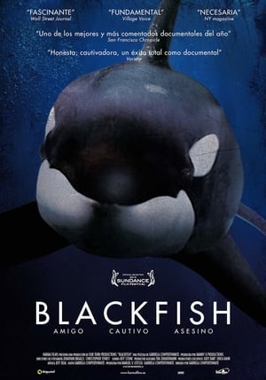 donde ver blackfish