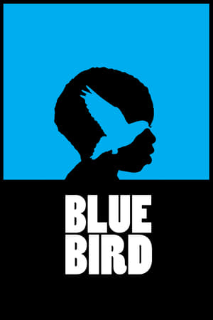 donde ver blue bird