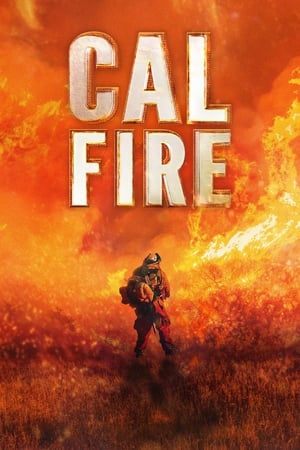 donde ver bomberos de california