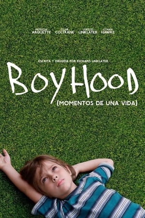 donde ver boyhood