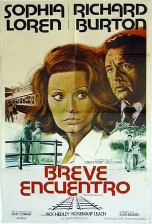 donde ver breve encuentro (1974)