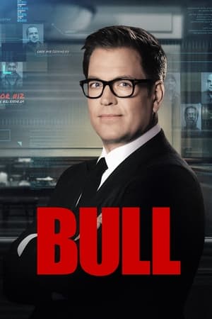 donde ver bull