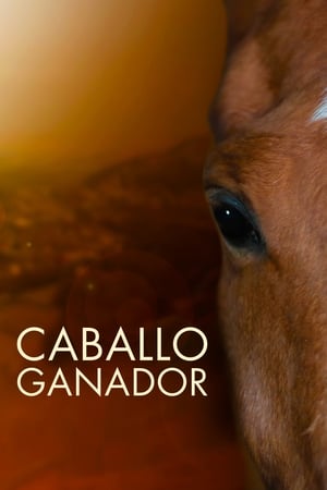 donde ver caballo ganador