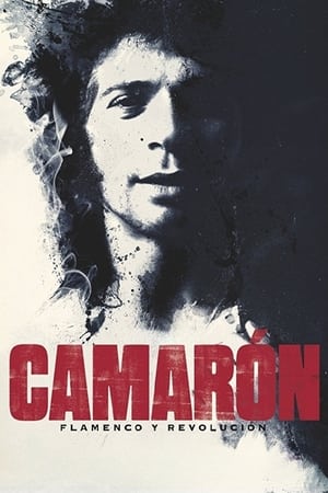 donde ver camarón – als flamenco legende wurde