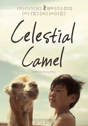 donde ver celestial camel