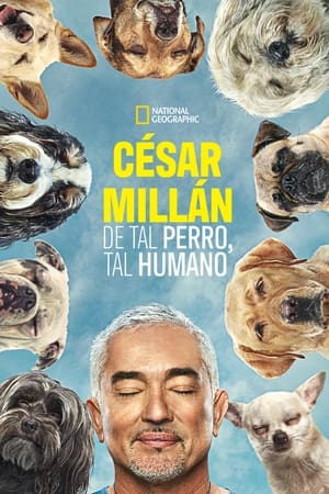 donde ver césar millán: de tal perro, tal humano