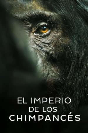 donde ver el imperio de los chimpancés