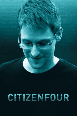 donde ver citizenfour