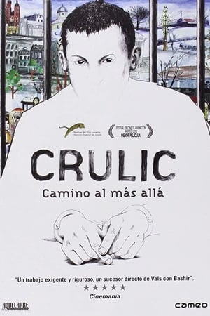 donde ver crulic - el camino al más allá