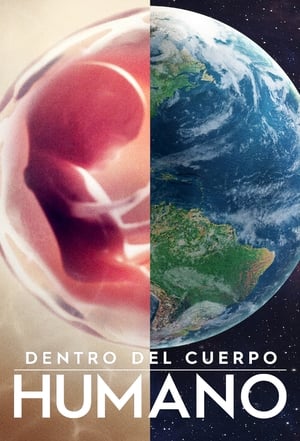 donde ver cuerpo humano: un mundo entrañable