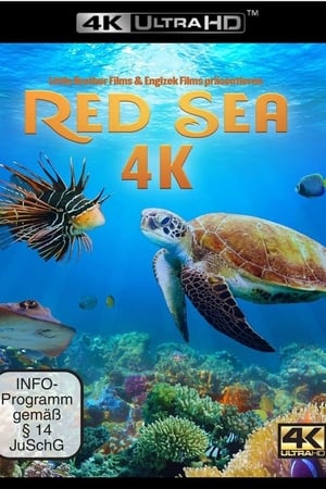 donde ver red sea