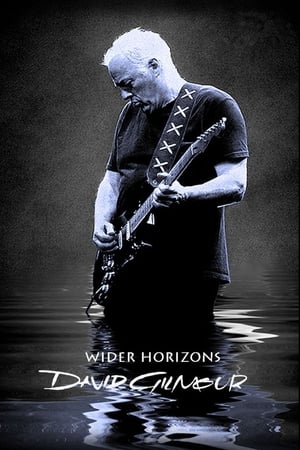 donde ver david gilmour: wider horizons