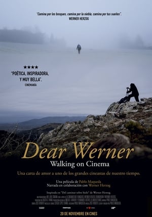 donde ver dear werner