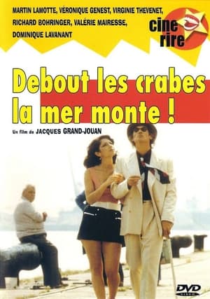 donde ver debout les crabes, la mer monte !