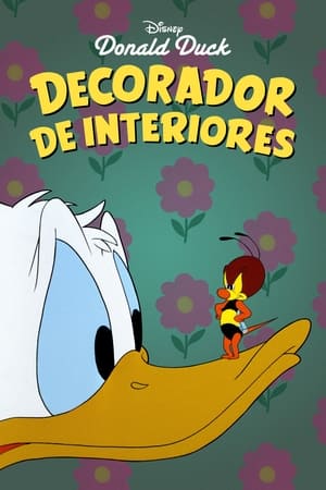 donde ver decorador de interiores