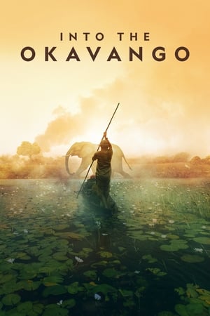 donde ver into the okavango