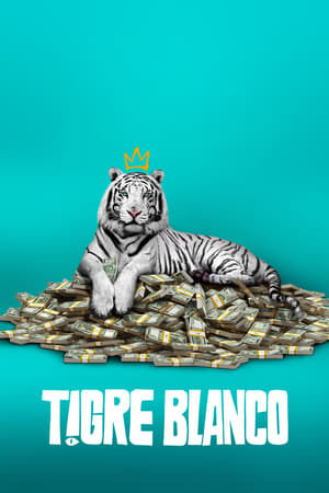 donde ver tigre blanco