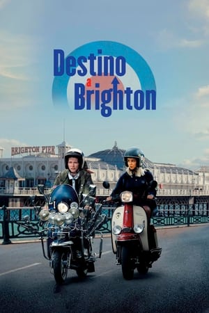 donde ver destino a brighton