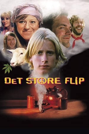 donde ver det store flip