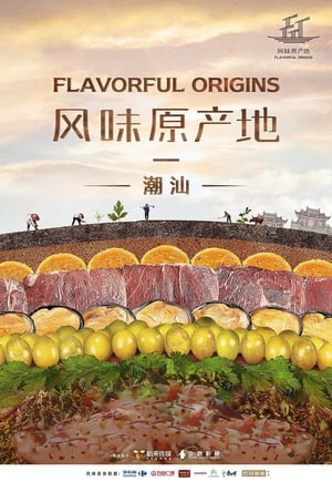 donde ver flavorful origins