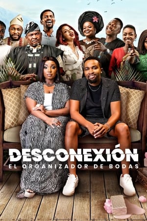 donde ver disconnect: el organizador de bodas