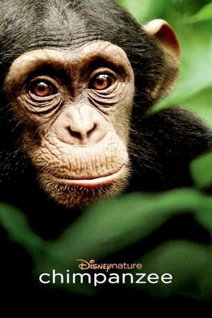 donde ver disneynature chimpanzee