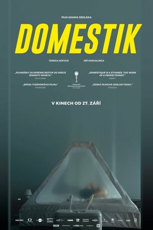 donde ver domestik