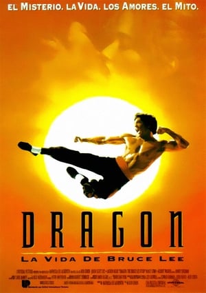 donde ver dragon, la vida de bruce lee